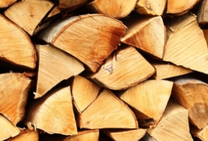 Elke week Bij elkaar passen Buik Soorten brandhout: Branduren en prijzen van geschikte houtsoorten voor de  haard